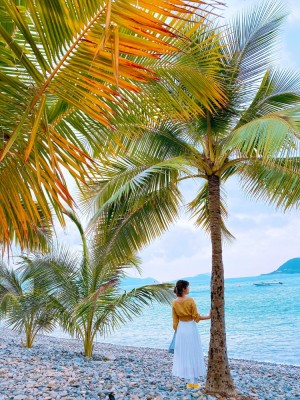 TOUR 3 ĐẢO BÃI TRANH DELUXE